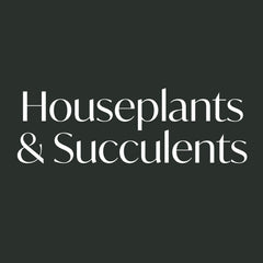 Collection image for: Houseplants and Succulents